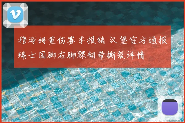 穆海姆重伤赛季报销 汉堡官方通报瑞士国脚右脚踝韧带撕裂详情